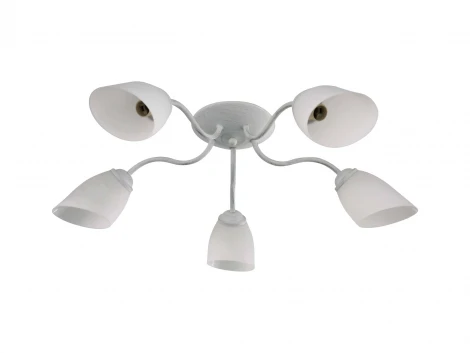 Потолочная люстра J-Light Balu 1510/5C