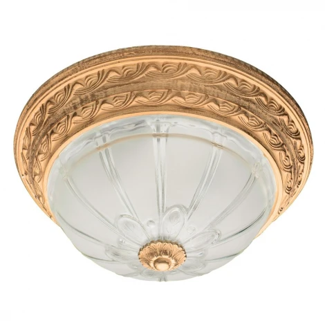 Потолочный светильник Arte Lamp Piatti A8014PL-2WA