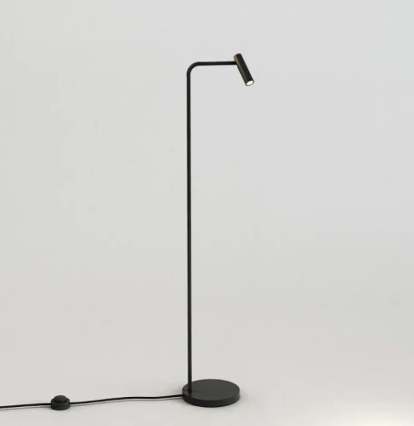 Торшер Мелодия Света FL2L 000059553