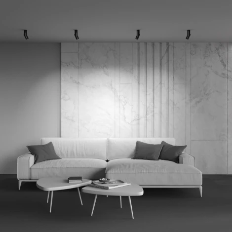 Накладной потолочный светильник Dafne 4000K 1x10Вт 38° LED Maytoni Technical C027CL-L10B4K (220V, круглые)