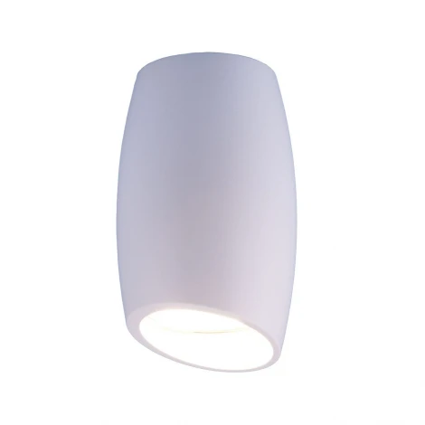 Накладной точечный светильник Elektrostandard DLN002 MR16 WH белый (220V, круглые)