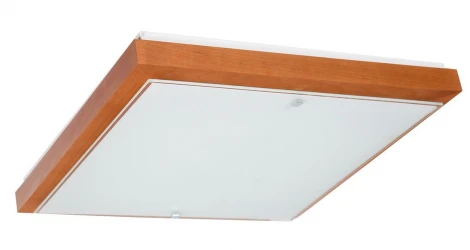 Настенно-потолочный светильник Дубравия Полина 106-21-24/3