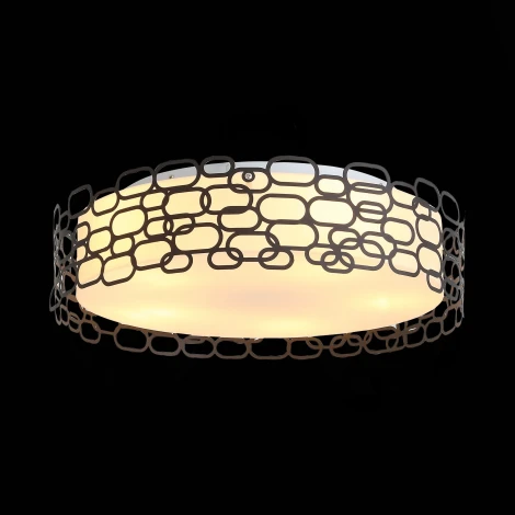Потолочный светильник ST Luce Ciatura SL304.402.05