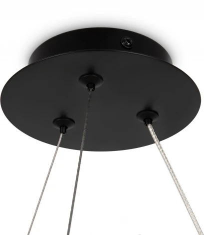 Подвесная люстра Maytoni Balance MOD317PL-04B (220V, на тросе, шарики, кольцо)