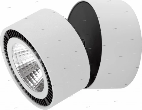 Спот карданный Lightstar Forte Muro 214830 (LED, 220V, круглые)