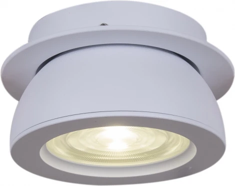 Встраиваемый спот светодиодный Reluce 84053-9.0-001QR COB8W WT (220V)