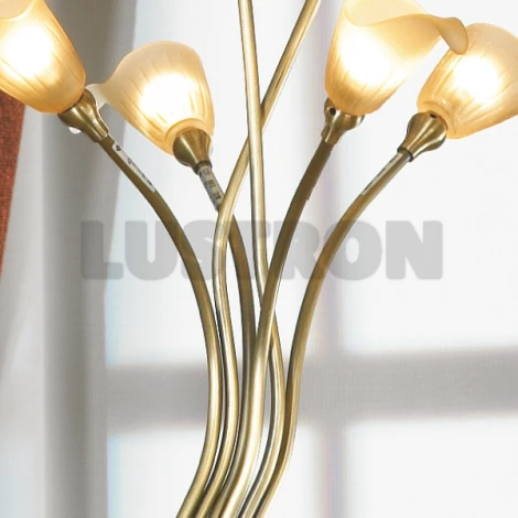 Интерьерная настольная лампа Lussole Roncobello LSA-0464-06