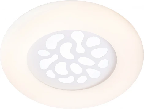 Потолочный светильник круглый Мелодия Света SS1L 000024985