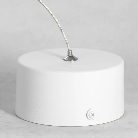 Подвесной светильник Lussole Loft Yorkton LSP-8349