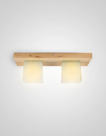 Потолочный светильник прямоугольный Мелодия Света SS1N 000036811