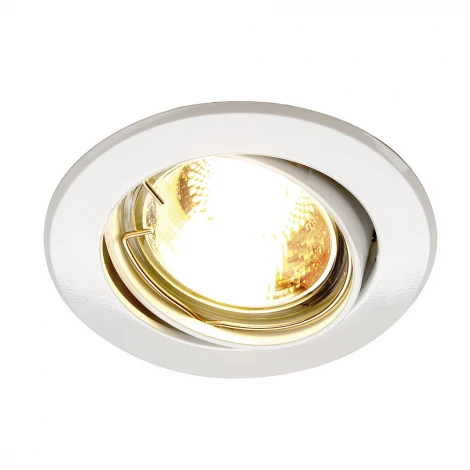 Точечный встраиваемый светильник SLV Turno 116101 (220V)