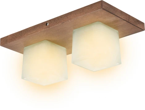 Потолочный светильник прямоугольный Мелодия Света SS1N 000036797