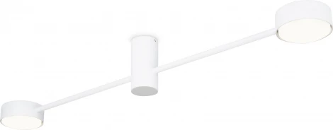 Потолочная люстра Freya Tactic FR5363CL-02W1 (220V)