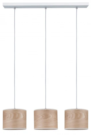 Подвесной светильник Paulmann Neta 79641
