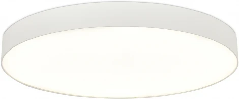 Потолочный светильник круглый светодиодный ST Luce ST601.542.18 Белый LED 1*18W (220V, круглые)