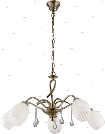 Подвесная люстра Arte Lamp Corniolo A9534LM-5AB