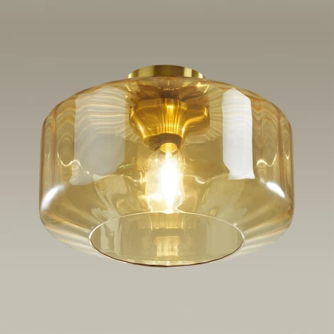 Потолочная люстра Odeon Light Binga 4747/1C (220V, круглые)