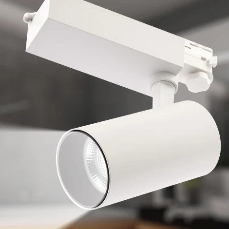 Трековый светильник ЭРА SТR-30-36-30K-W30 (LED, 220V, круглые, IP40)