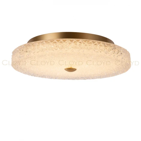 Потолочный светильник круглый светодиодный Cloyd Acrux 10873 (220V, круглые)