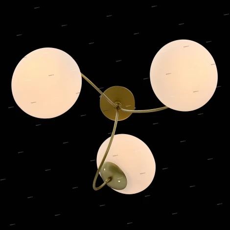Потолочная люстра ST Luce Acini SL717.202.03