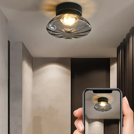 Потолочный светильник круглый светодиодный ImperiumLoft Charin01 (223959-23) (220V)