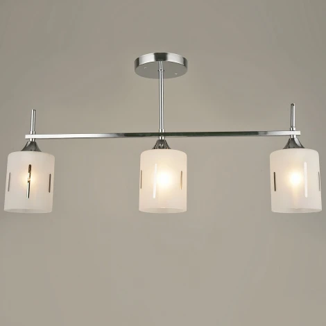 Потолочная люстра на штанге Reluce 01429-0.3-03 (220V)