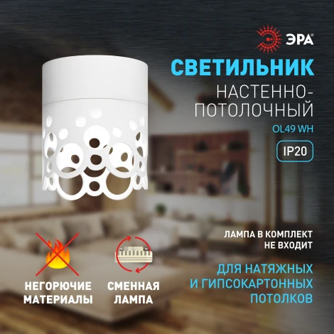 Точечный светильник ЭРА OL49 WH (220V)