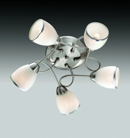 Потолочная люстра Odeon Light Foko 2562/5C