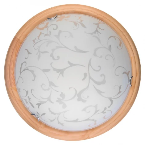 Настенно-потолочный светильник Toplight Daniela TL9530Y-00PN