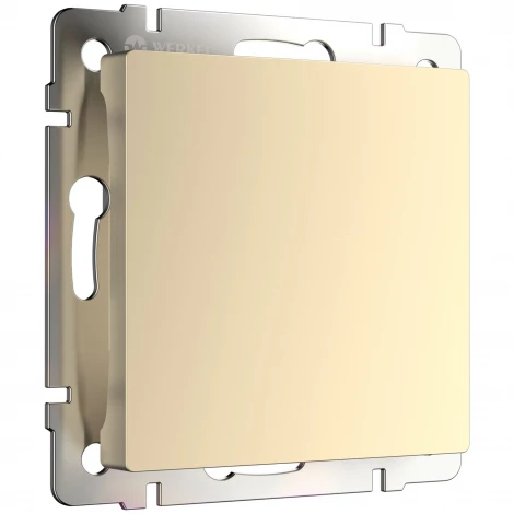 Заглушка (шампань) Werkel W1159211 (a050855)