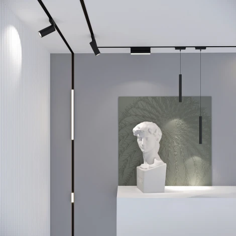 Трековый светильник магнитный Elektrostandard Flat Magnetic 5W 4000K Vision (чёрный) 85087/01 (LED, 48V)