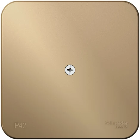 Распределительная коробка (титан) IP42 Systeme Electric Blanca BLNRK000014