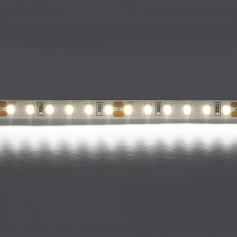 Светодиодная лента холодного белого свечения 24V Lightstar 420805
