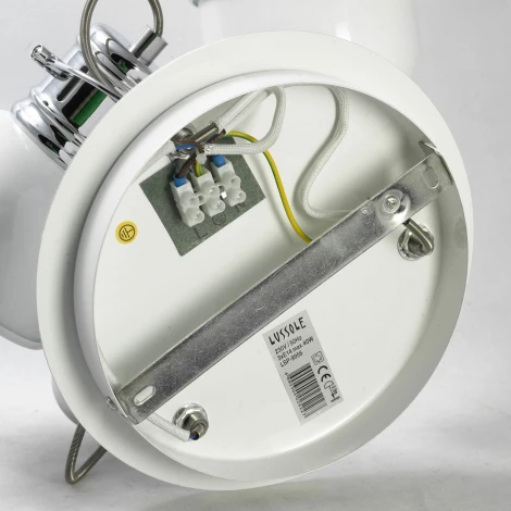 Спот Lussole Lgo Carrizo GRLSP-9956 (220V, IP21)