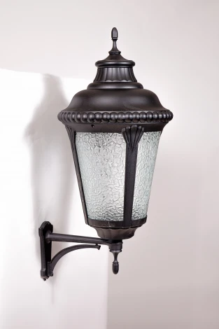 Настенный фонарь уличный Oasis Light 79751L Bl (220V, IP44)