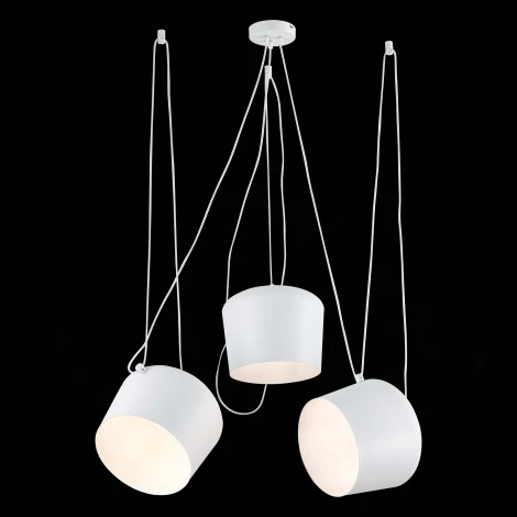 Подвесной светильник Evoluce Trieste SLE120653-03 (220V)