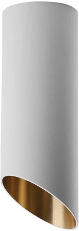 Светильник потолочный накладной Feron ML181 48036 35W белый, золото (220V, круглые)