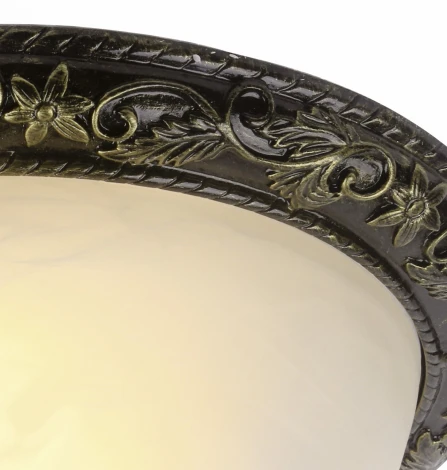 Потолочный светильник Arte Lamp Torta A7161PL-2AB