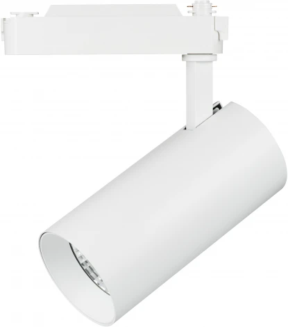 Трековый светильник Lightstar Fuoco 218246 (LED, 220V, круглые)