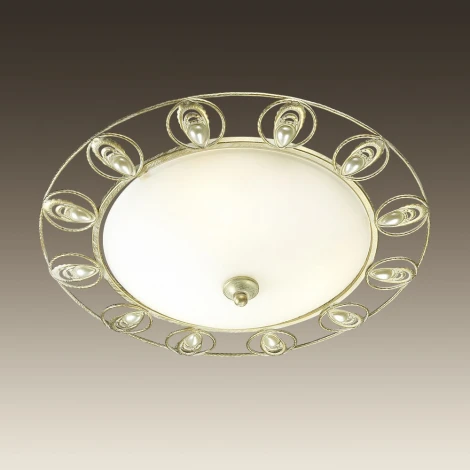 Настенно-потолочный светильник Odeon Light Kanti 3483/3C