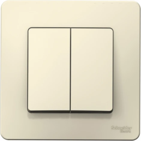 Выключатель встраиваемый двухклавишный (молочный) Systeme Electric Blanca BLNVS010502