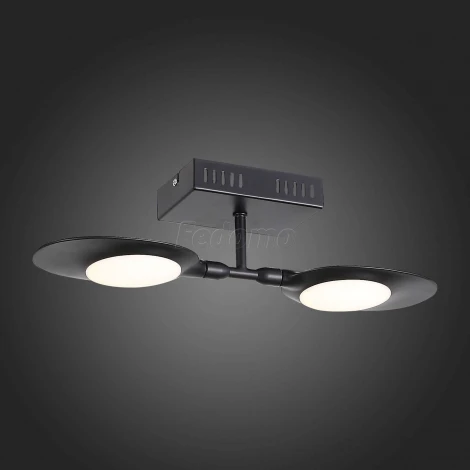 Настенно-потолочный светильник ST Luce Farfalo SL824.401.02