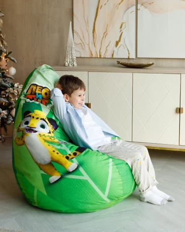Кресло мешок Dreambag Лео и Тиг (Классический) 2225401