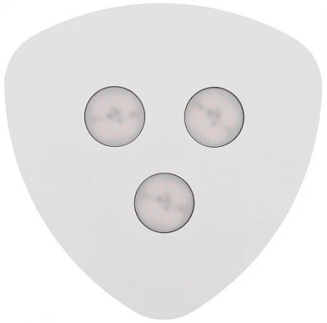 Потолочный светильник Nowodvorski Organic 8304 (220V)