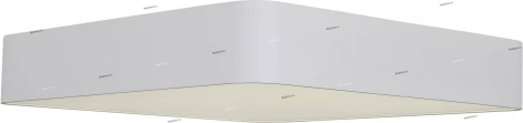 Потолочный светильник ST Luce Presente SL955.502.01