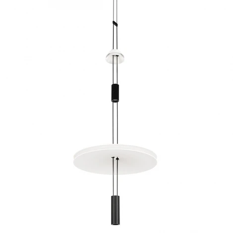 Подвесной светильник светодиодный Loft It Flamingo 10598B