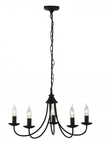 Подвесная люстра Arte Lamp Tamara A6310LM-5BK