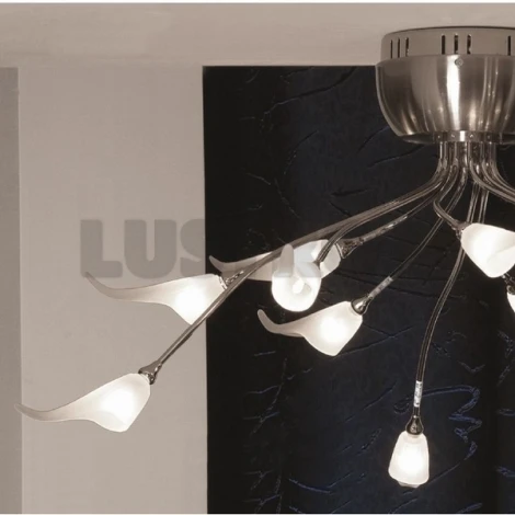 Потолочная люстра Lussole Roncobello LSA-0403-12