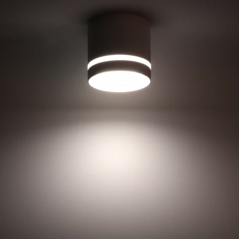 Накладной светильник Ritter Arton 59942 5