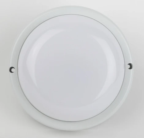 Настенно-потолочный светильник светодиодный ЭРА SPB-201-0-40K-018 (220V, круглые, IP65)